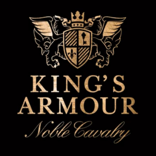 KING S ARMOUR